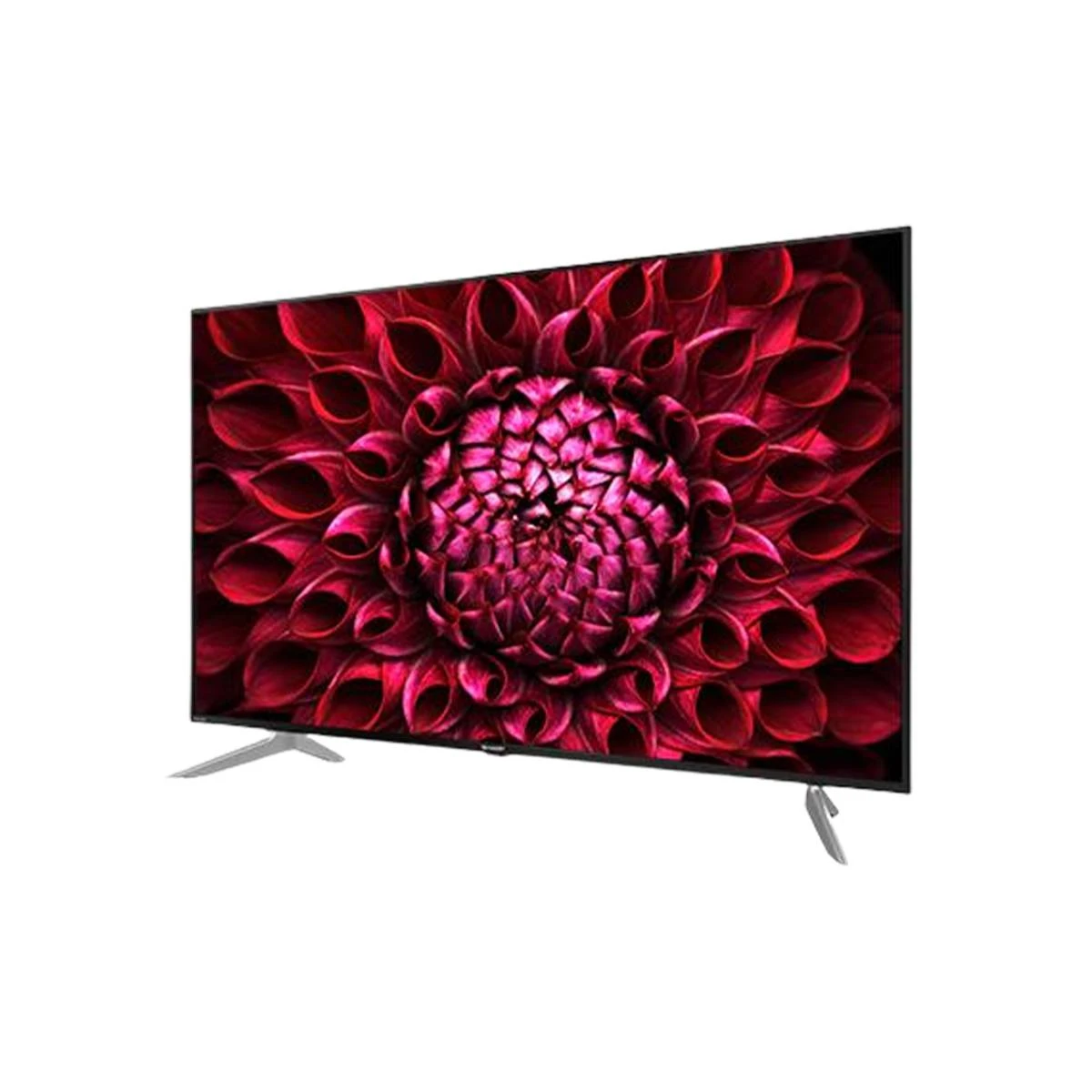 315 Sharp AQUOS DL1X Television - Image 1