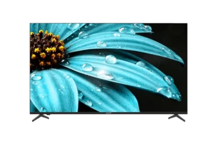 Sharp AQUOS FJ1X Television