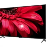 Sharp AQUOS FL1X Television