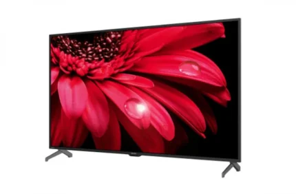 Sharp AQUOS FL1X Television