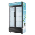 Hisense 2 DOOR - BLACK – HSC-620WED