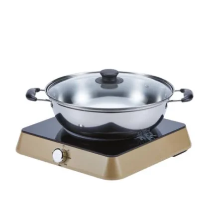 Midea 1600W Induction Cooker C16-RTY1619-GL
